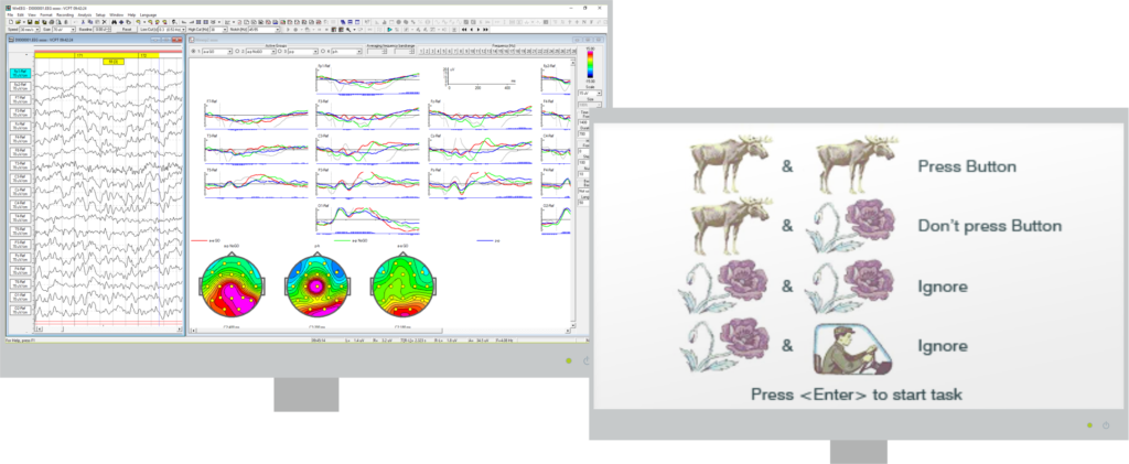 ERP-Software für MITSAR-EEG