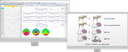 Event related potentials-Software for MITSAR-EEG