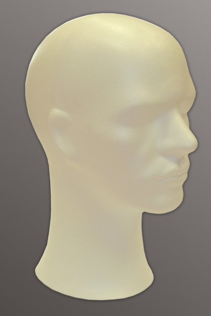 [8546] Styrofoam head