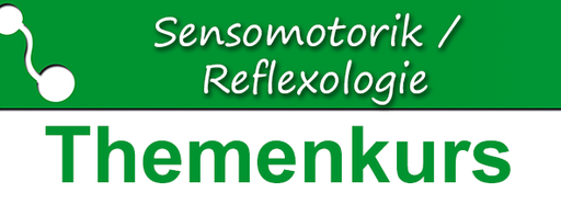 Sensomotorik Themenkurs: Einmal hin und einmal her, rundherum das ist … Neuromotorisches Training auf dem Wippbrett