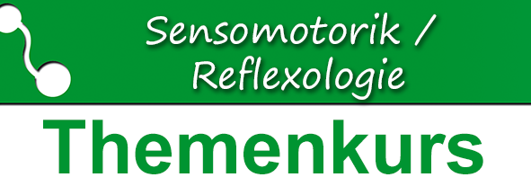 Sensomotorik Themenkurs: Flexi-Trainingsprogramm