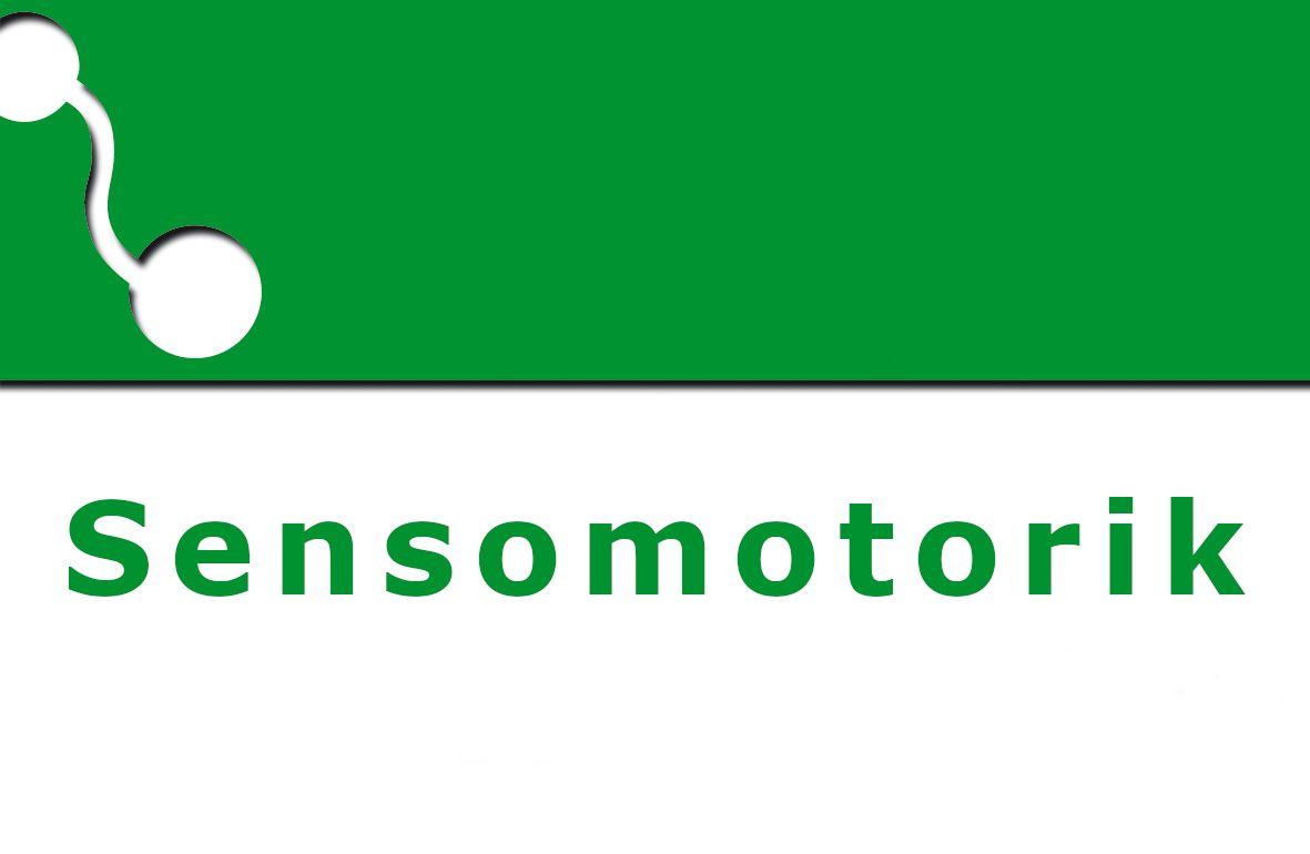 Sensomotorik/Reflexologie Aufbaukurs: Motorikförderung und Reflexbehandlung