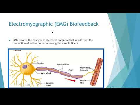 Biofeedback and the Pertinence of its Use in Pelvic Health by CLAUDIA BROWN, PT, BS  |  PART 1