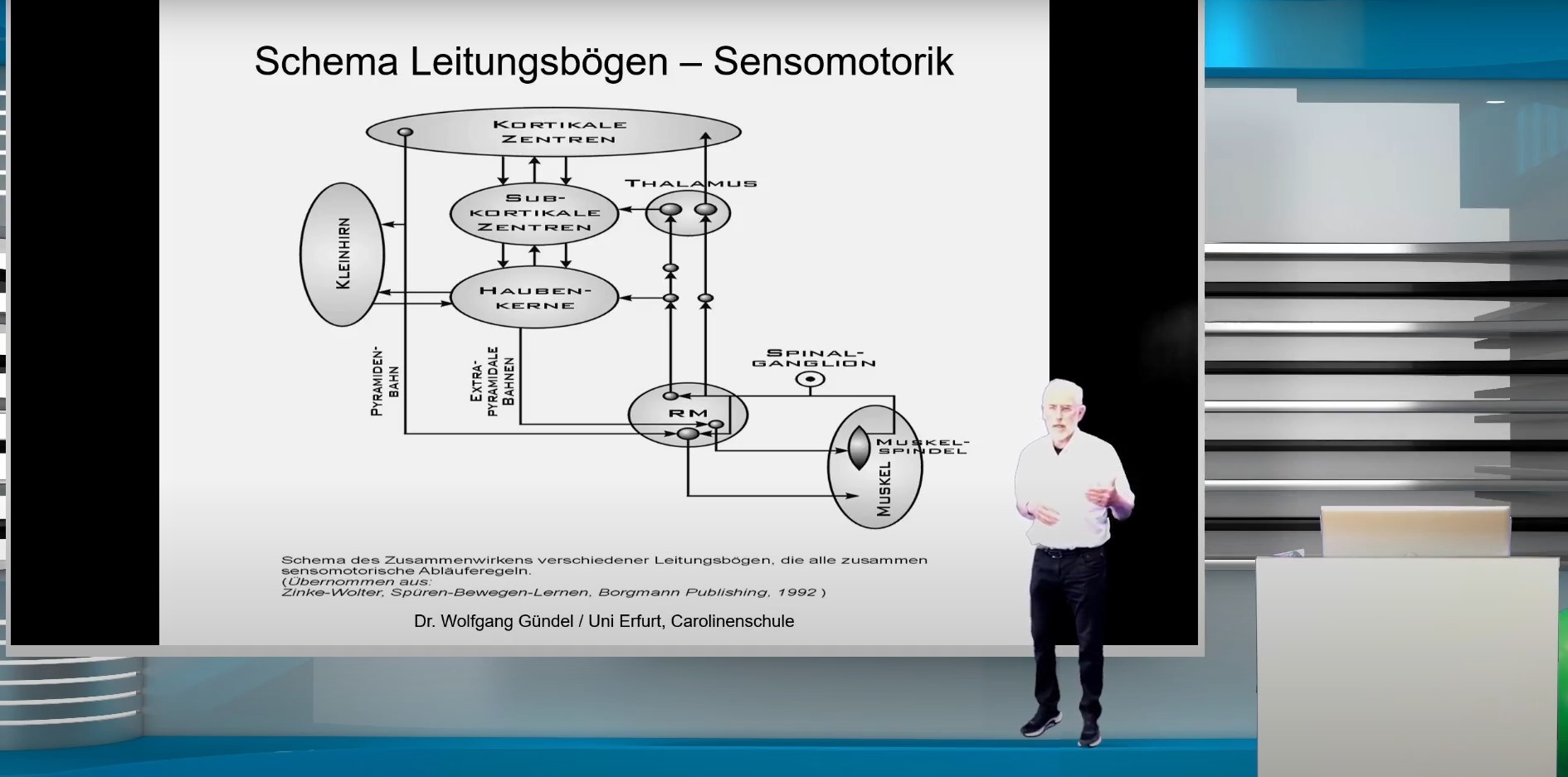 Schema Leitungsbögen - Sensomotorik